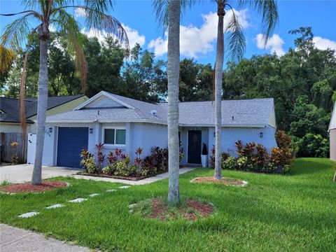 A home in TAMPA