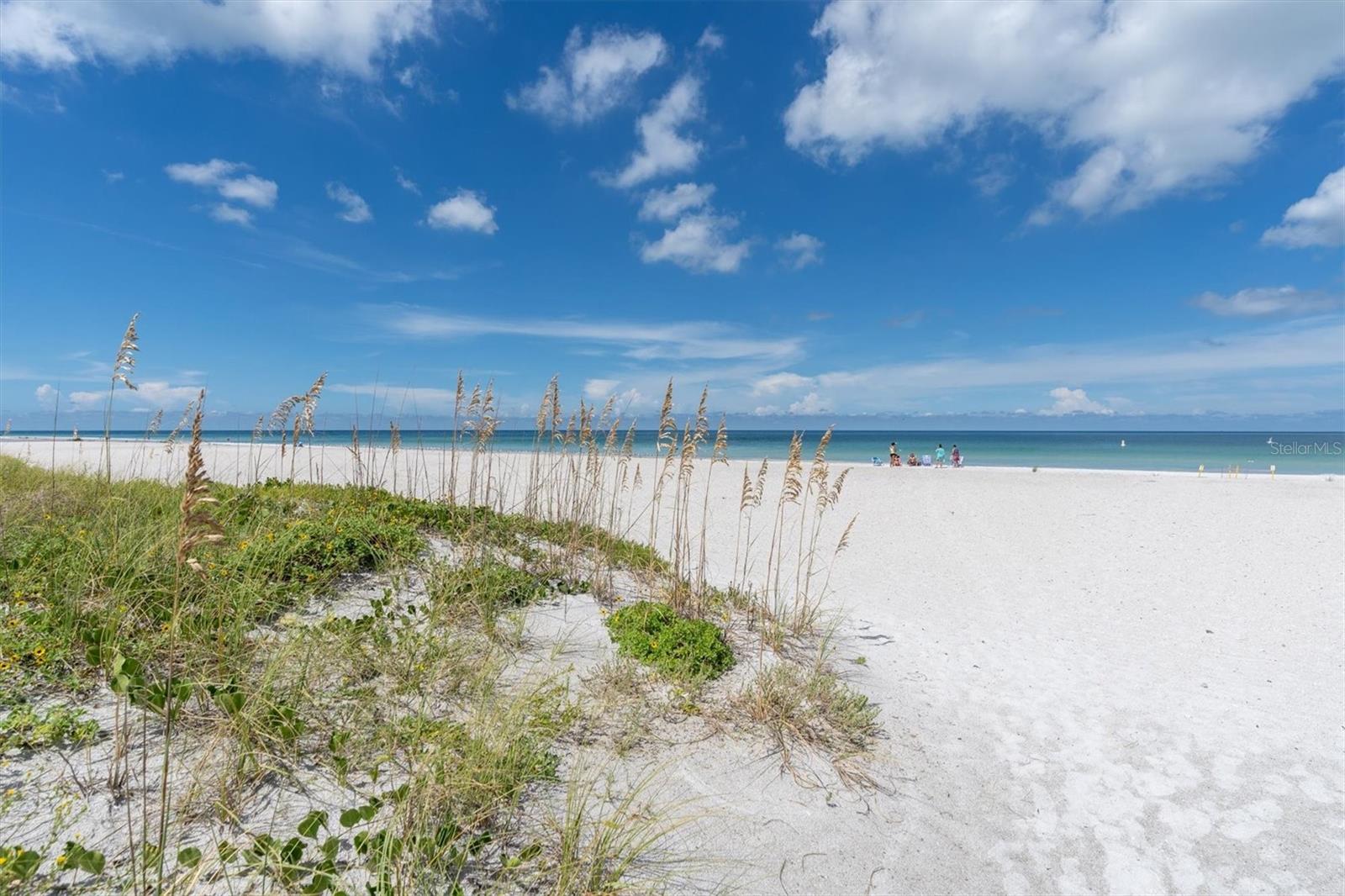 ISLE OF PALMS 2ND ADD - Residential