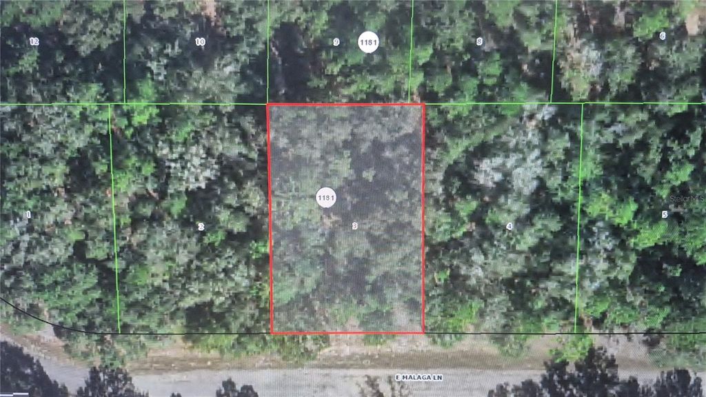 Photo of 593 E Malaga Lane, Dunnellon, FL 34434 (MLS # O6411248)