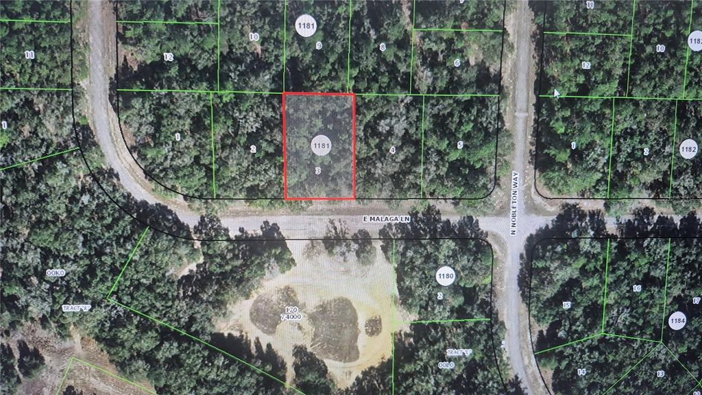 Photo of 593 E Malaga Lane, Dunnellon, FL 34434 (MLS # O6411248)