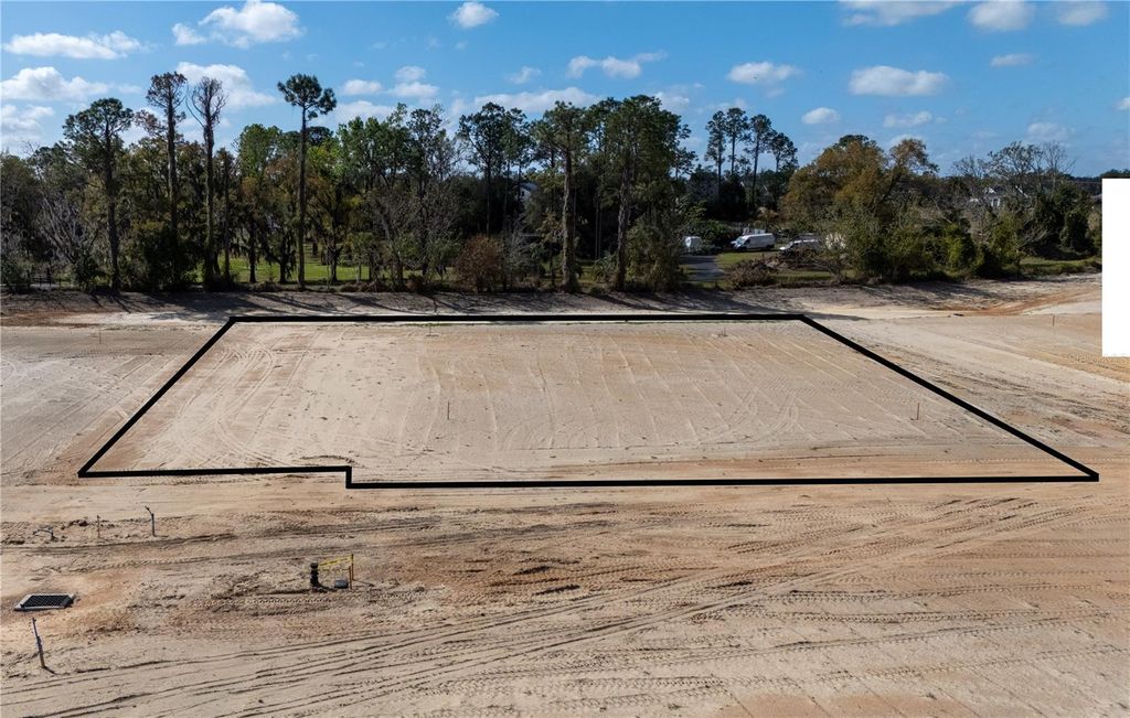 Photo of 12891 Pompanic Street, San Antonio, FL 33576 (MLS # TB8485488)