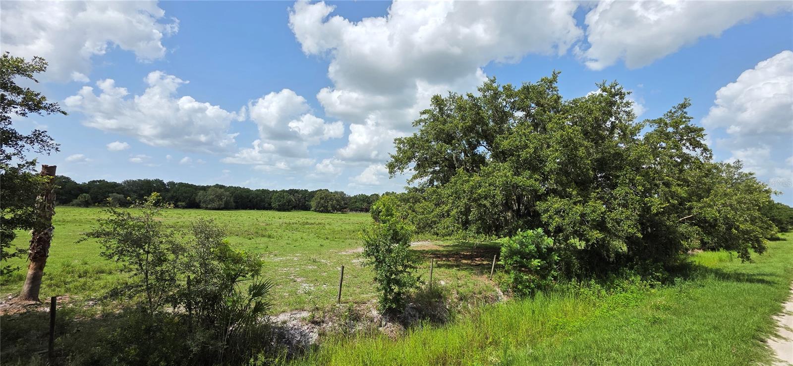Cleared, High and dry, Build your custom home on this 1.25 acre tract.