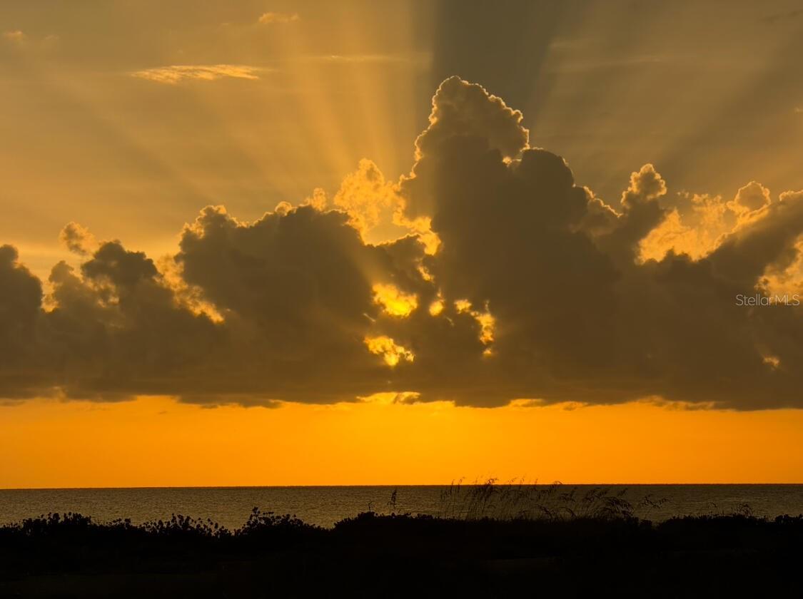 VENICE GULF VIEW REP - Land