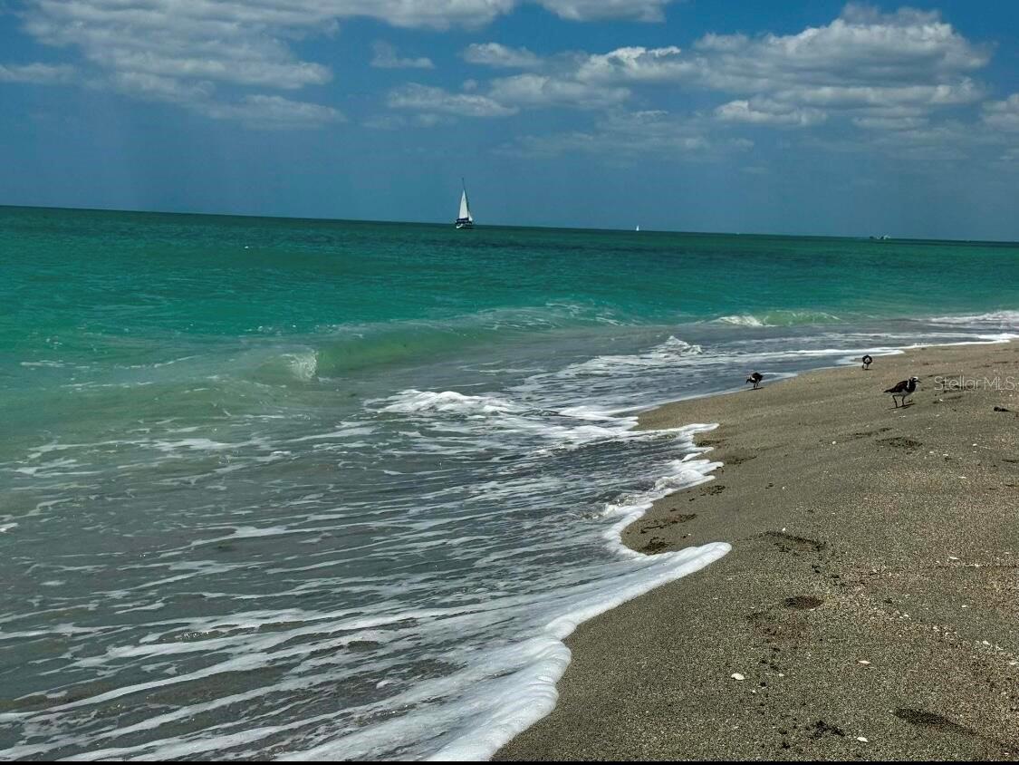 VENICE GULF VIEW REP - Land