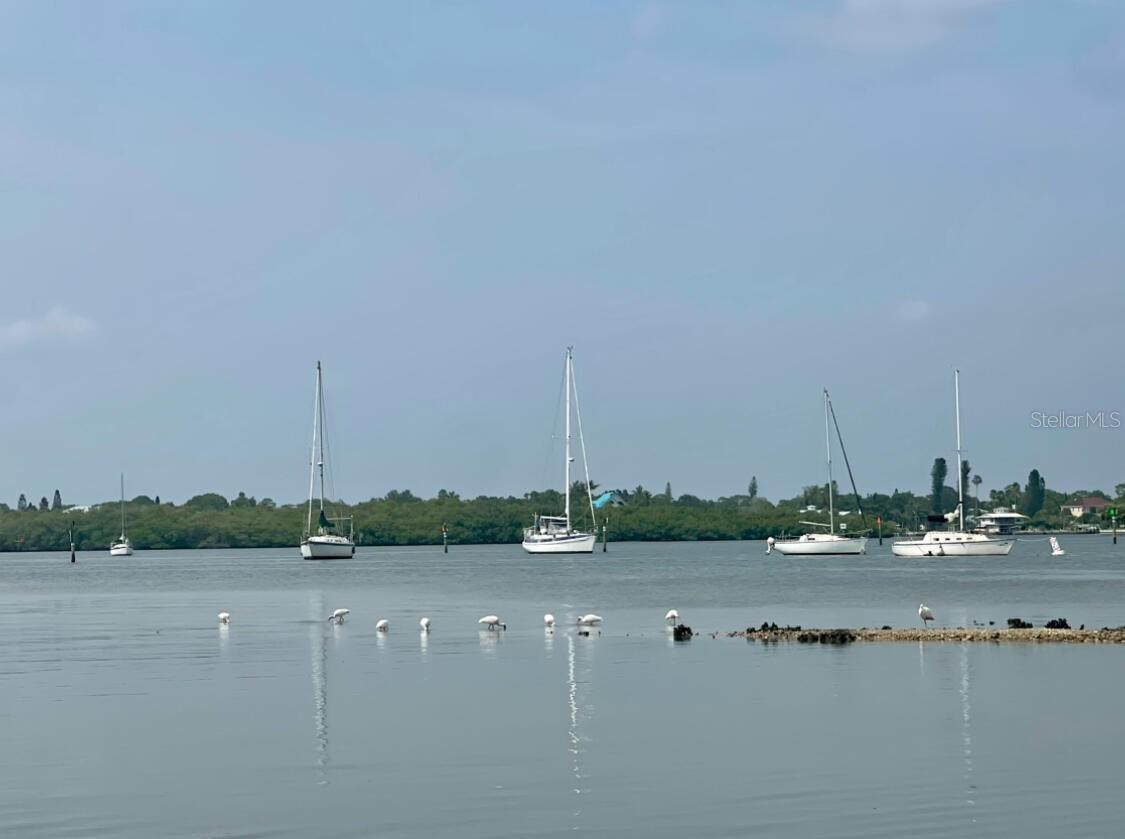 VENICE GULF VIEW REP - Land