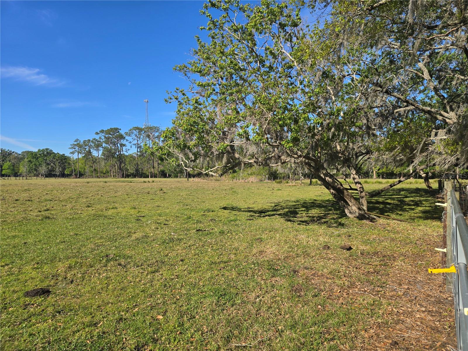 Rare 2.99-Acre Parcel – Peaceful & Convenient!
Discover the perfect blend of tranquility and convenience with this -almost- 3-acre, cleared parcel. Located just minutes from town, it offers easy access to shopping, dining, I-4 and the Polk Parkway, while still providing the peaceful feel of country living. A rare find, this property is ready for you to bring your vision to life, offering endless possibilities for building your dream residence, outdoor living, and more. Don't miss this rare opportunity to own a slice of paradise!