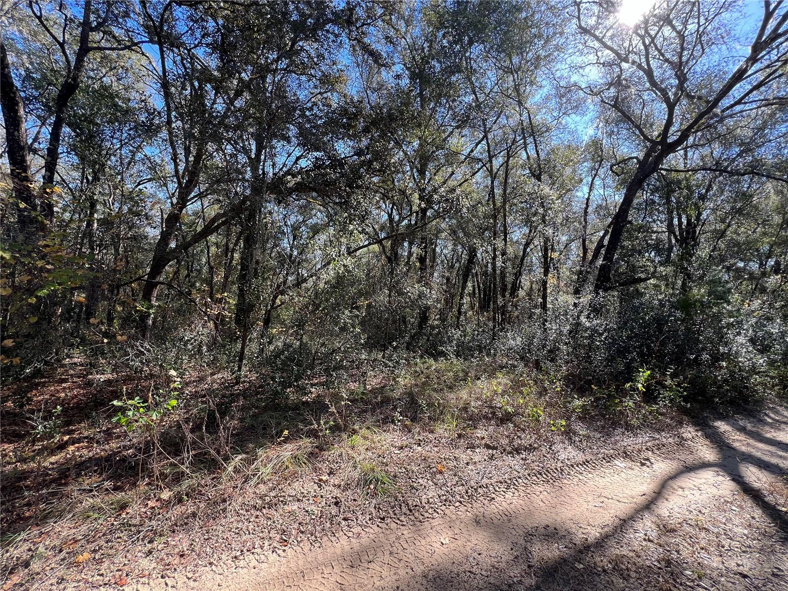 2 lots being sold together and competitively priced! This property is located a very short drive from a newly paved road. New fire hydrants have recently been installed close by. Lots are in Flood zone X. Several nearby lots have survey stakes out, dont snooze on this land investment opportunity!