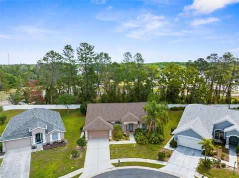 11443 MARSH CREEK COURT NEW PORT RICHEY FL 34654