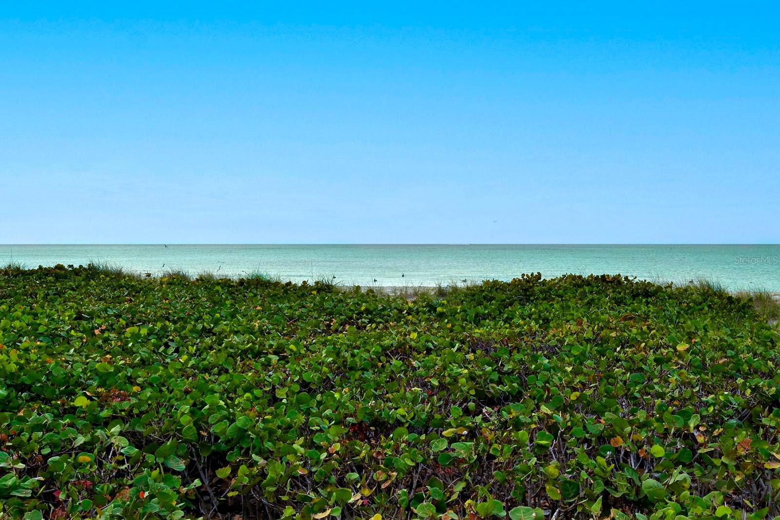 ISLAND SHORES - Residential