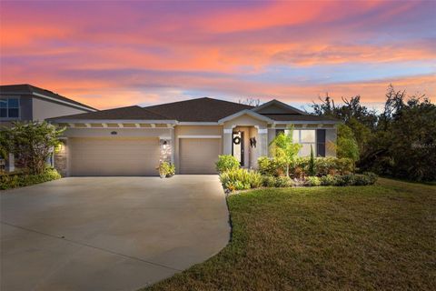 A home in ZEPHYRHILLS