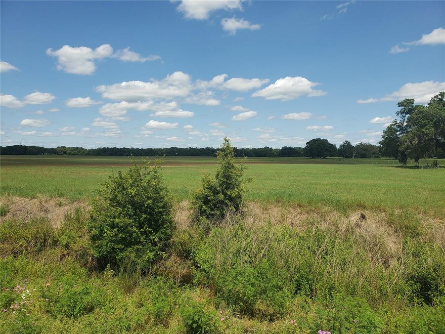 appx 344 acres pasture land off paved road 471 & 478(road from Webster to Center Hill).