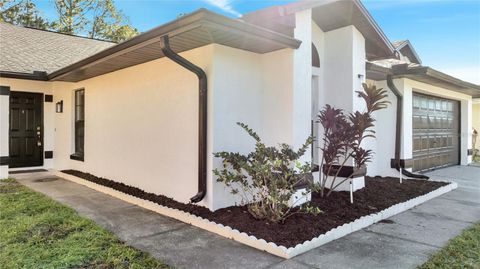 A home in KISSIMMEE