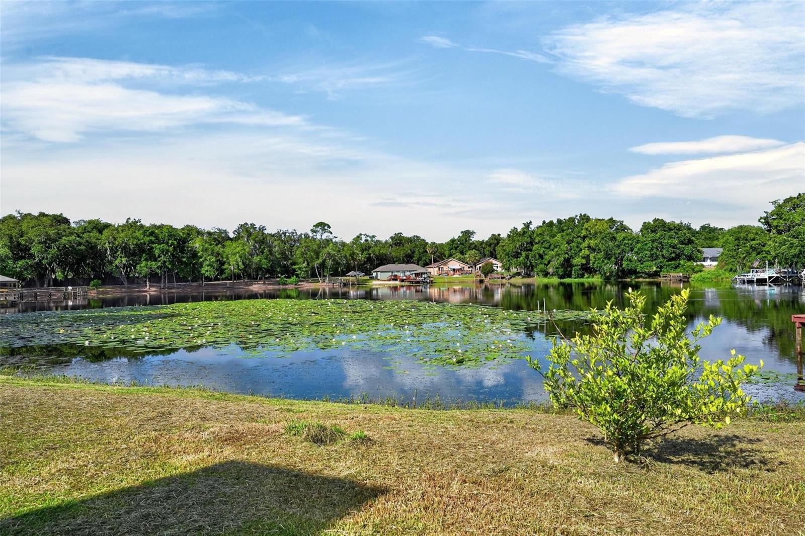 BREEZEE SHORES PT REP - Residential