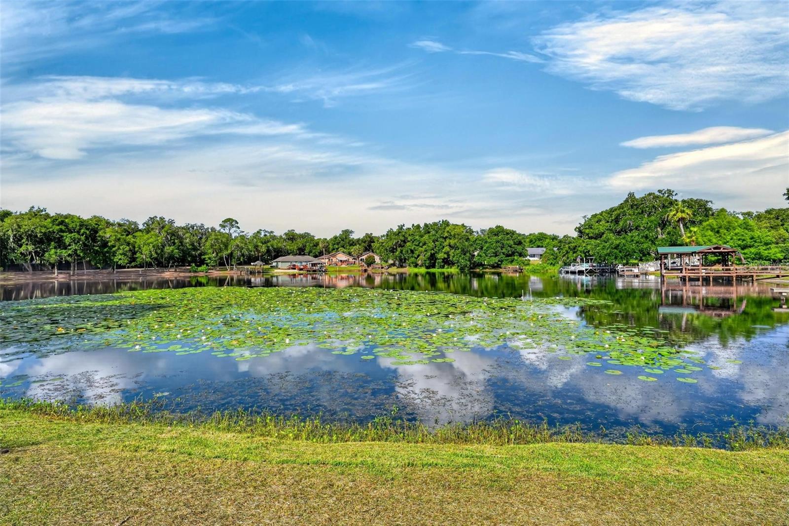 BREEZEE SHORES PT REP - Residential