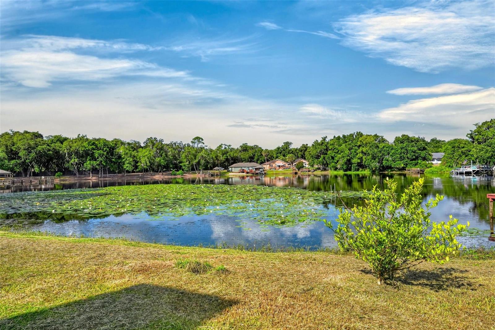 BREEZEE SHORES PT REP - Residential