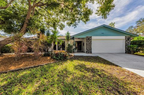 A home in PALM HARBOR