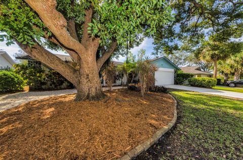 A home in PALM HARBOR