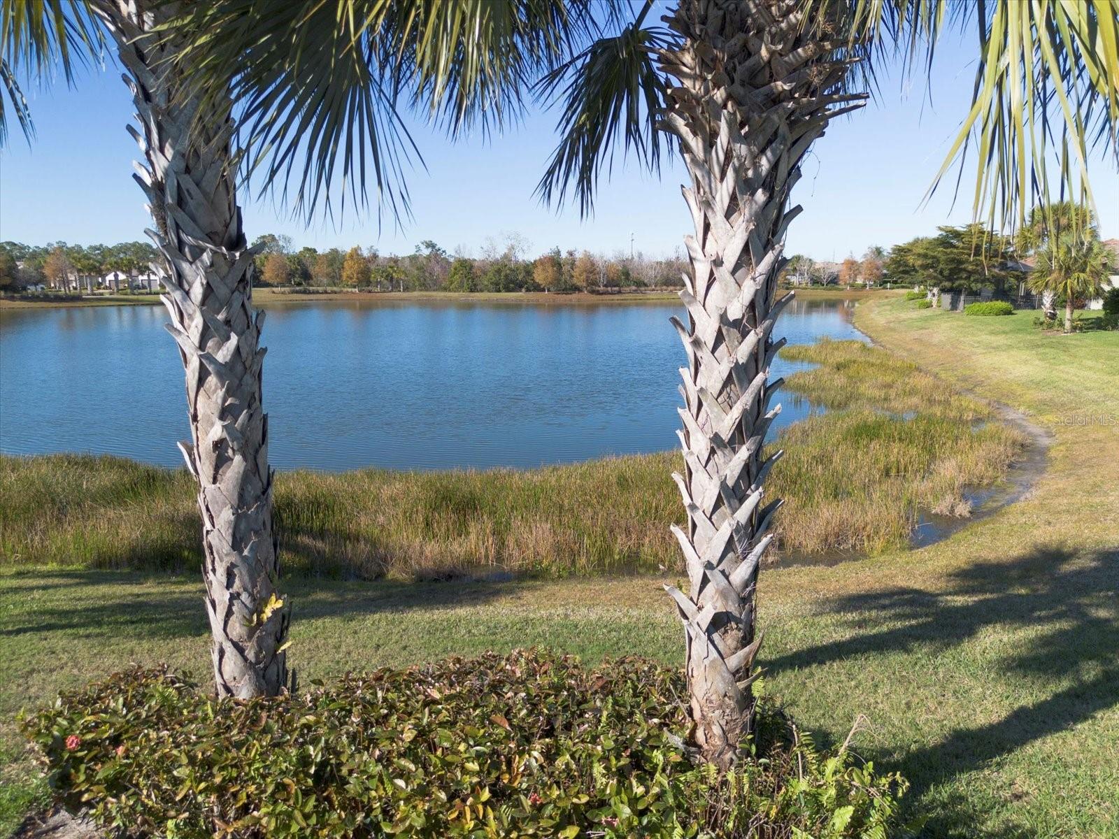 DEL WEBB PH I-A - Residential