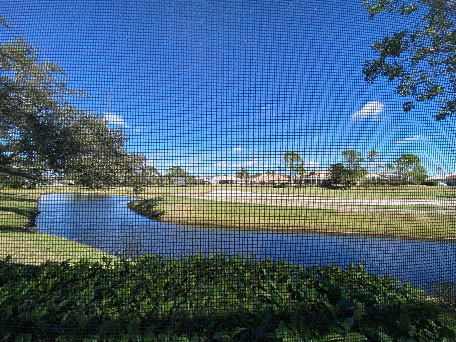 Wedgewood At Spruce Creek - Residential