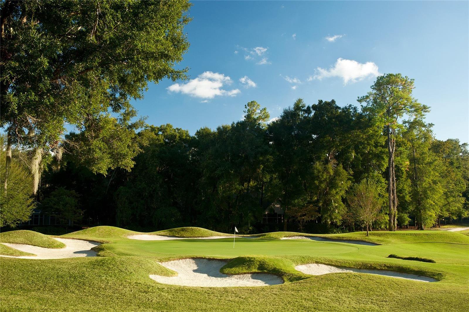 HAILE PLANTATION UNIT 34 PH 4 - Residential