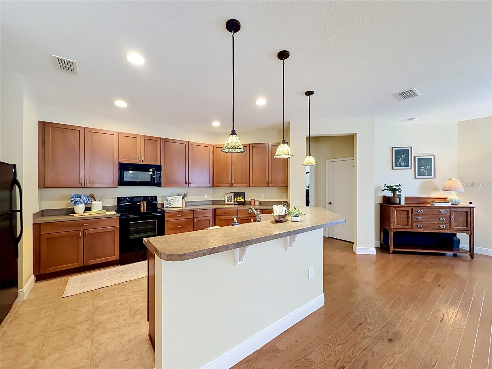 TAVARES LAKE ELSIE RESERVE - Residential