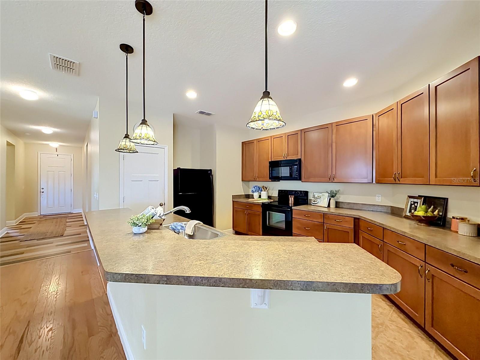 TAVARES LAKE ELSIE RESERVE - Residential