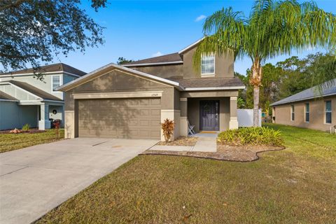12549 SAULSTON PLACE HUDSON FL 34669