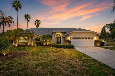 Photo of 11009 Woodland Waters Boulevard, Weeki Wachee, FL 34613 (MLS # TB8484304)