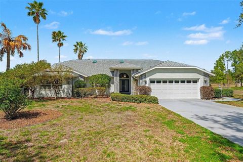 11009 WOODLAND WATERS BOULEVARD WEEKI WACHEE FL 34613