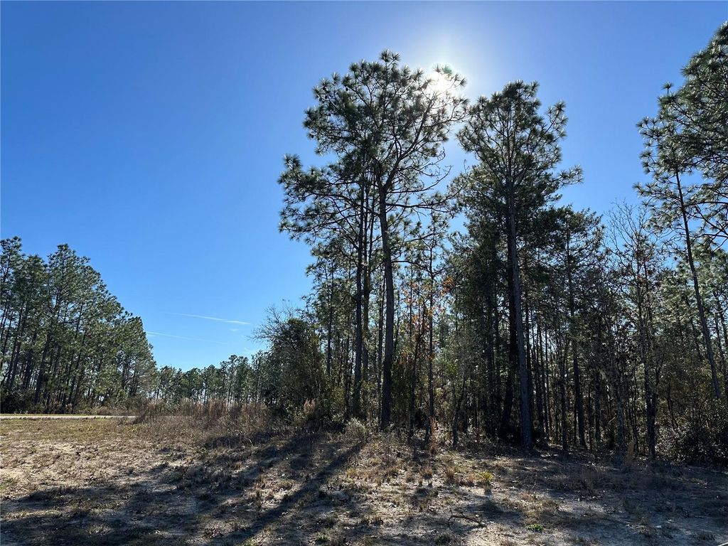 Photo of SW 87th Avenue, Dunnellon, FL 34432 (MLS # G5089935)