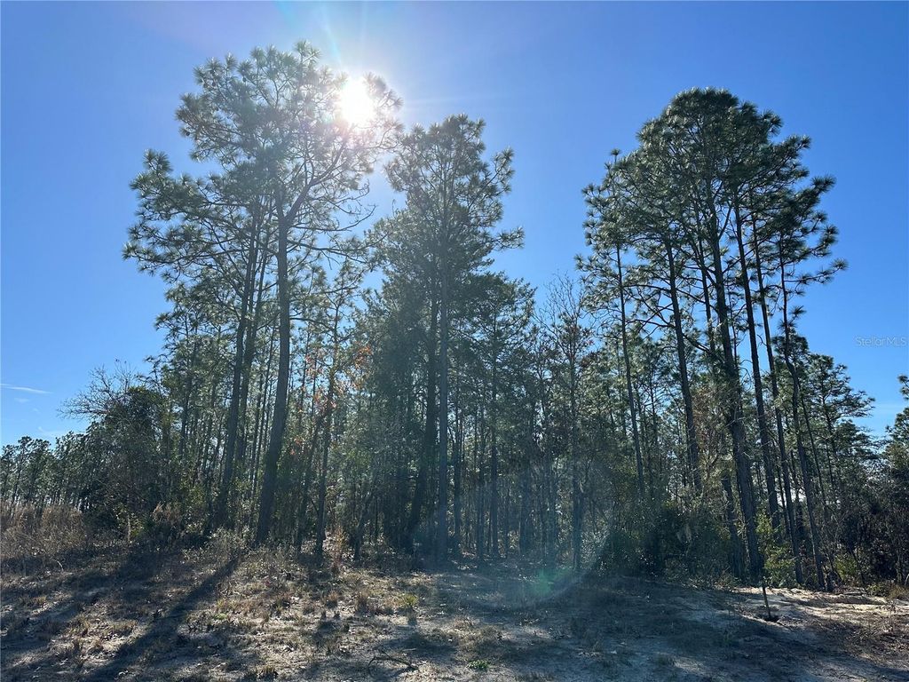 Photo of SW 87th Avenue, Dunnellon, FL 34432 (MLS # G5089935)