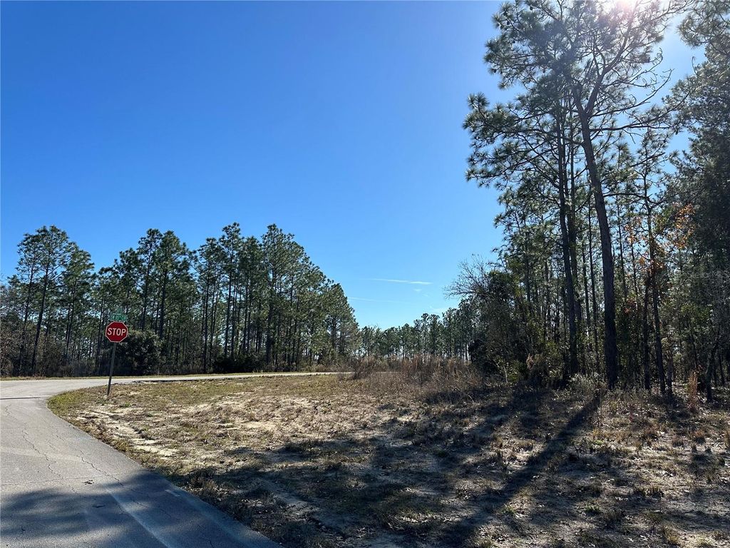 Photo of SW 87th Avenue, Dunnellon, FL 34432 (MLS # G5089935)