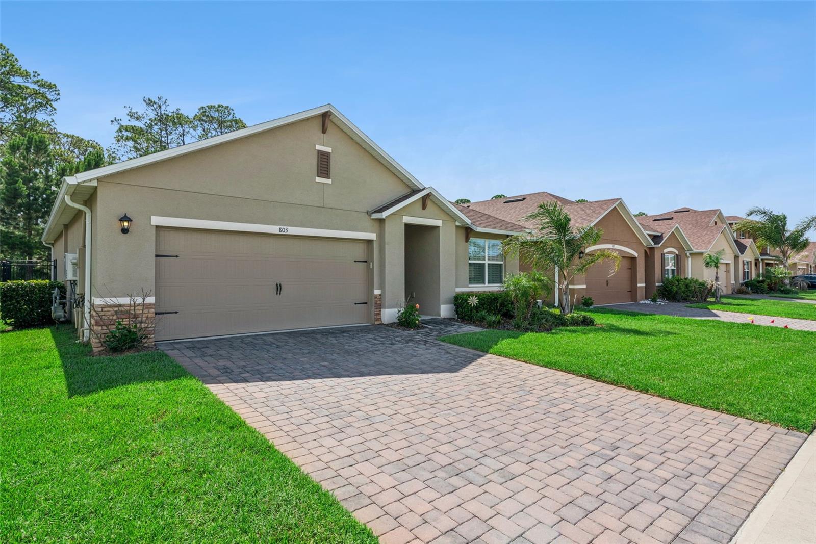803 LAZIO CIRCLE