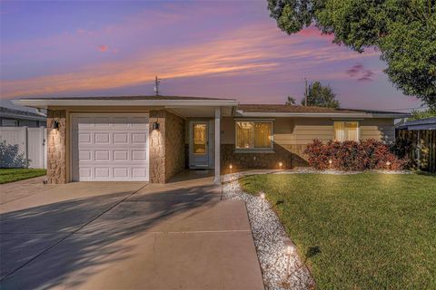 4011 IRONWARE DRIVE HOLIDAY FL 34691