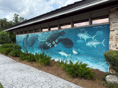 Tiny photo for 326 W Homeway Loop, Citrus Springs, FL 34434 (MLS # W7881655)