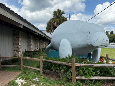 Tiny photo for 326 W Homeway Loop, Citrus Springs, FL 34434 (MLS # W7881655)