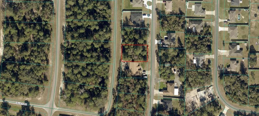 Photo of 13823 SW 43rd Circle, Ocala, FL 34473 (MLS # OM720586)