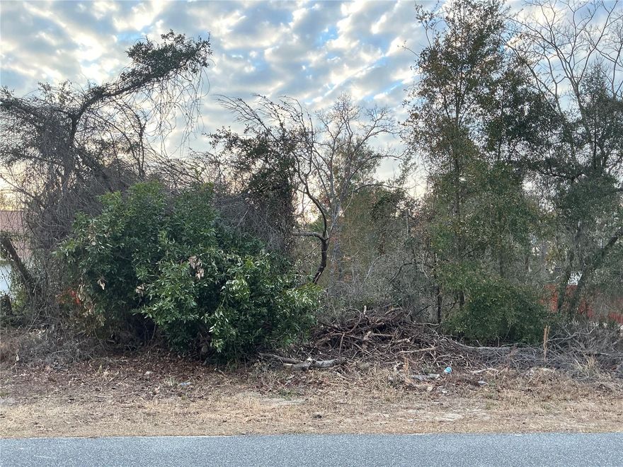 Located in the desirable community of Marion Oaks in Ocala, this 0.23-acre residential lot on Unit 1 offers an excellent opportunity to build your future home in a well-established and growing neighborhood. Surrounded by existing homes and paved roads, the area continues to see steady development and strong demand. The property has city water available and shows no known environmental or wetland concerns, helping streamline the building process. Conveniently positioned near local schools, shopping, parks, and major roadways, this location provides easy access to everyday amenities while still offering a quiet residential setting. A great option for builders, homeowners, or investors looking to secure land in the expanding Ocala market.