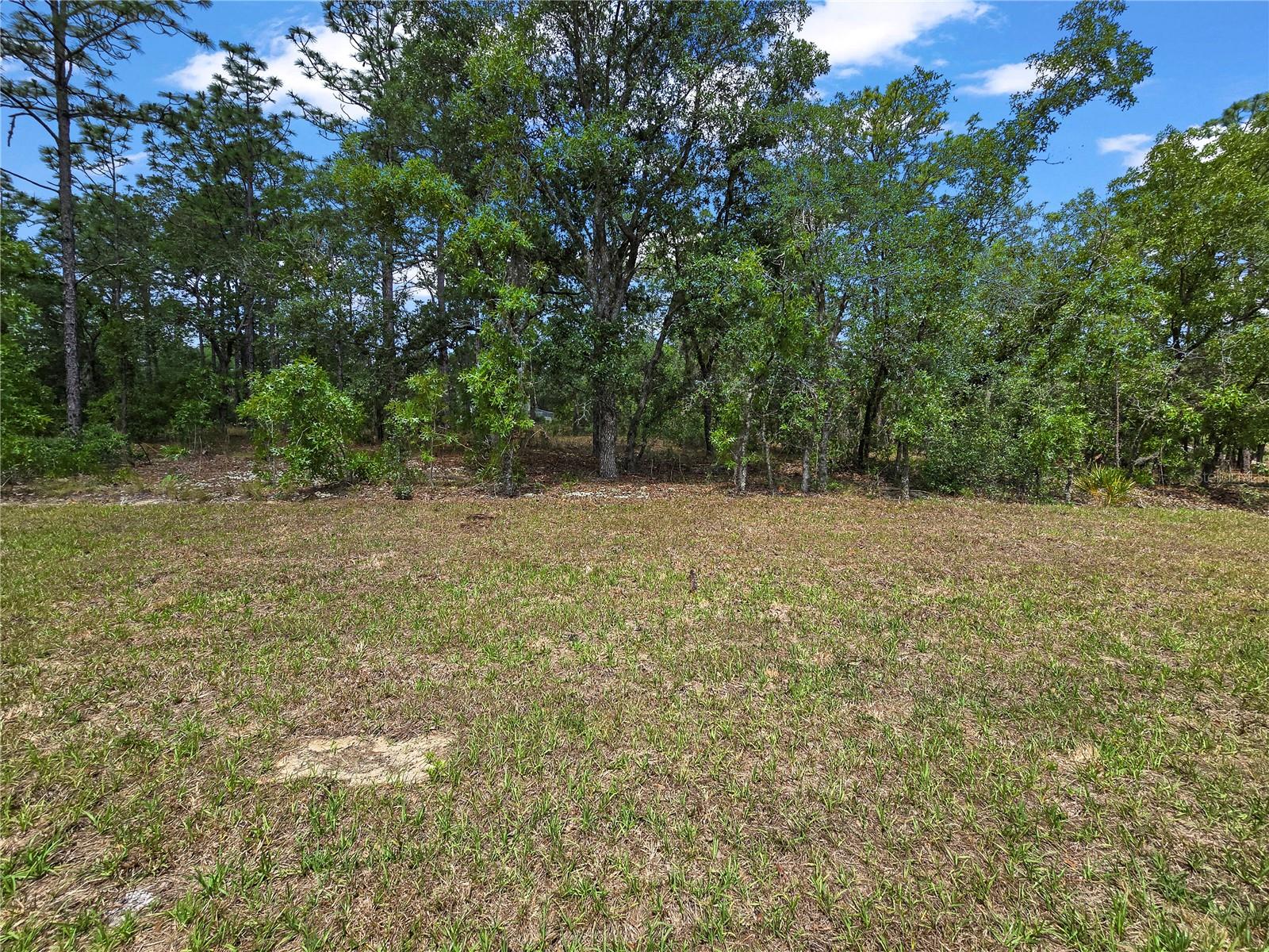 CITRUS SPGS UNIT 03 - Residential Lease