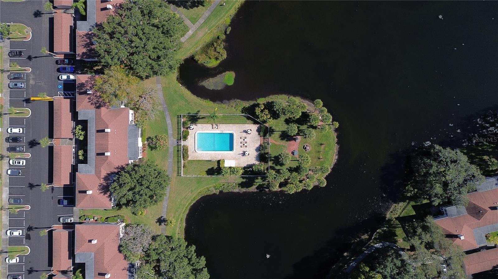 THE GRAND AT OLDE CARROLLWOOD - Residential