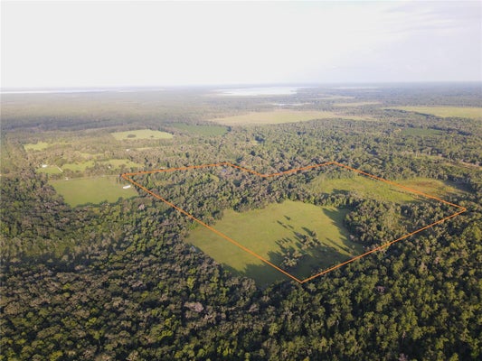 11816 SE COUNTY ROAD 234, MICANOPY, FL 32667 - Image b5ec5a4a2f8b6d9ff519e6fa0d41b038/548136984