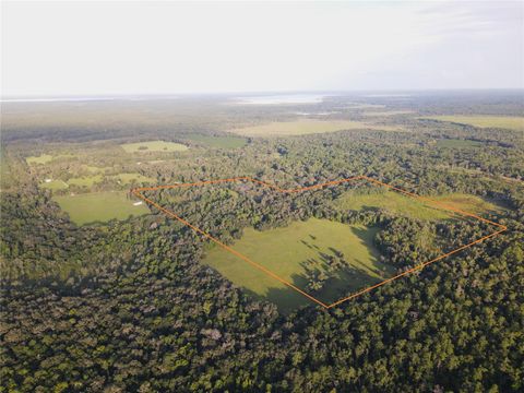 11816 SE COUNTY ROAD 234 MICANOPY FL 32667