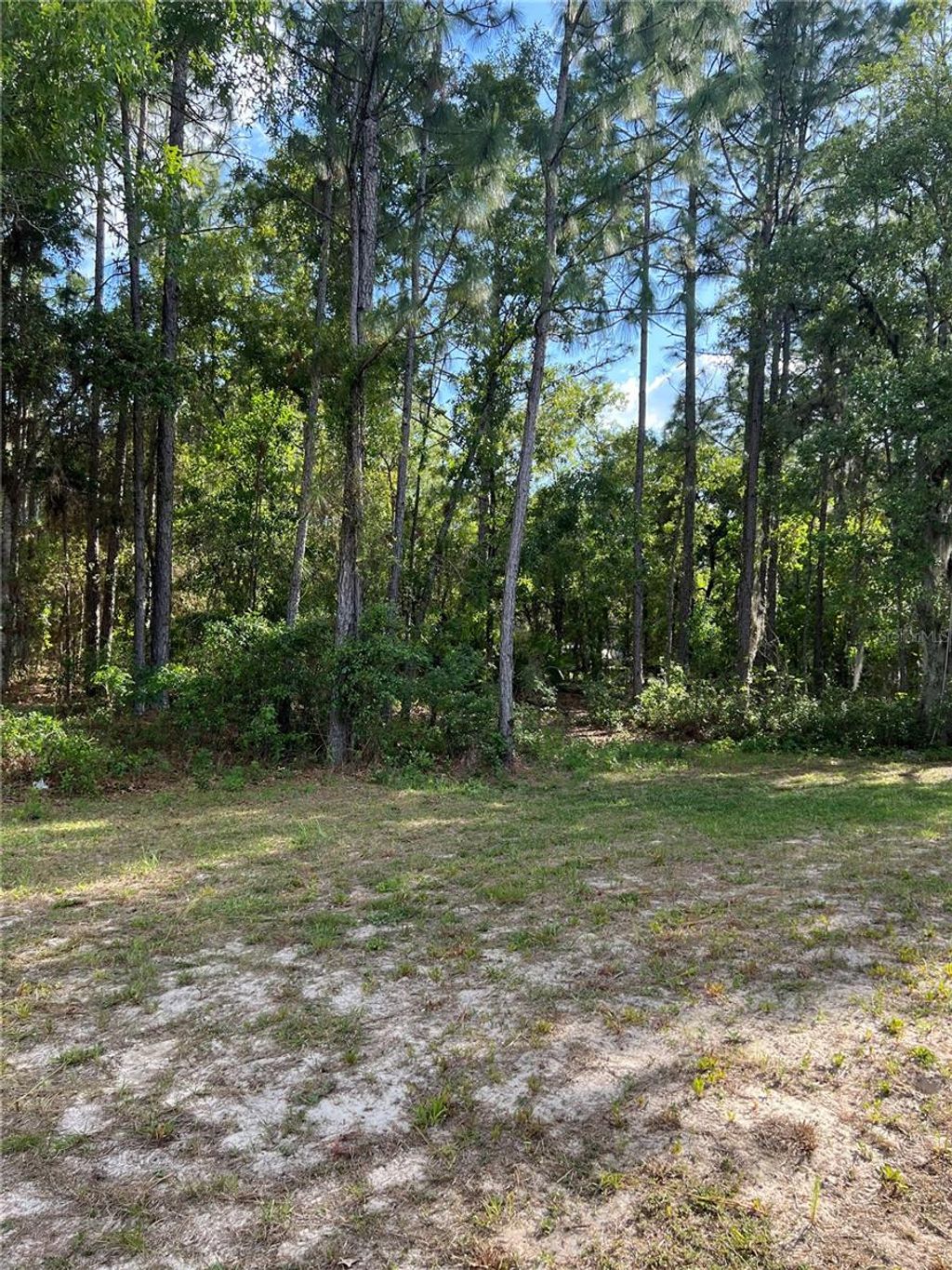 Photo of 612 Marion Oaks Trail, Ocala, FL 34473 (MLS # O6376457)