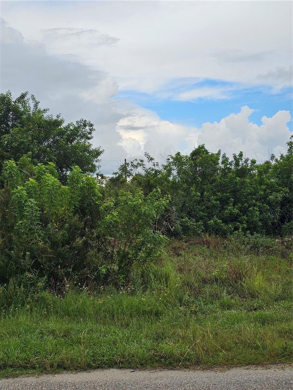 Photo of 8357 Tecumseh Circle, Port Charlotte, FL 33981 (MLS # C7514191)