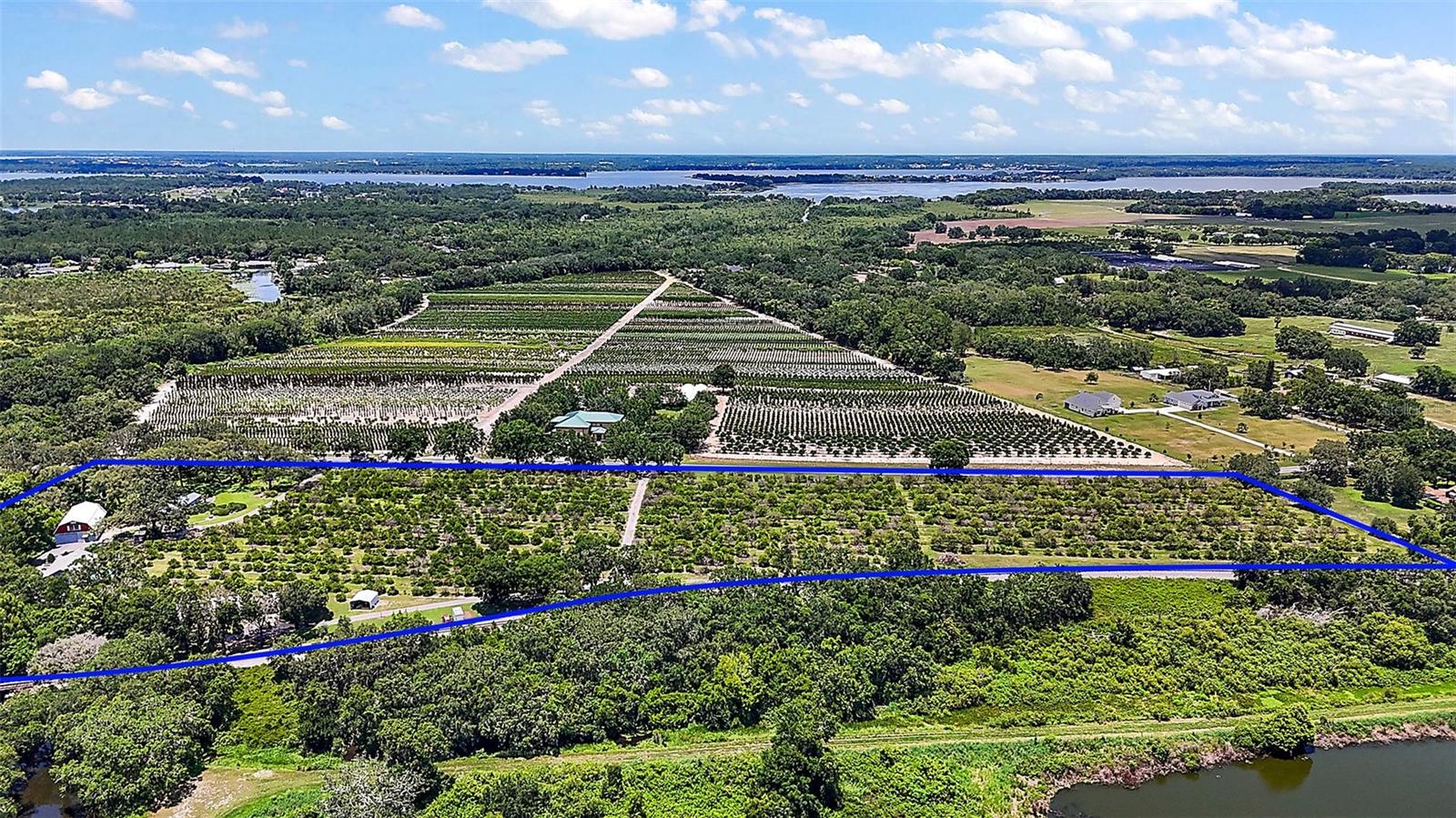 FIRST TIME OFFERED ON THE MARKET! The picturesque Amantha Musselwhite Estate offering 10.89 ACRES on the APOPKA-BEAUCLAIRE CANAL with access to the HARRIS CHAIN OF LAKES and LAKE APOPKA. There are 3 HOMES, a BARN with APARTMENT, BOAT DOCK, GAZEBO and so much more! The property is made up of 8 PARCELS, one home is a 3/2 with 1456 sq.ft. under air and a 2-car carport. The second home is a 2/2 with 1306 sq.ft. under air with an updated kitchen and an above ground pool, the third home is 1/1 with 899 sq.ft. under air and a 2-car carport. The barn offers high ceilings and 2160 sq.ft. of space including a studio apartment. The homes share a patio with an outdoor grill and sink, screened gazebo, boat house and dock. Each home has its own septic tank, and the three homes share a well. There is also a citrus grove on about 8.5 acres of the property with its own well and irrigation. The property has been used as a multi-generational property since its creation in 1996. The property does require some TLC. This is an amazing opportunity and is conveniently located on the south side of Historic Mount Dora, this location affords quick access to the 453 connector to the Wekiva Parkway (429), and other major highways. It’s an easy trip of approximately 45 minutes to either Orlando (OIA) or Orlando-Sanford International Airports, 45 minutes to Disney, an hour to the east coast beaches, and 30 minutes to Orlando. Please do not enter property without an appointment!