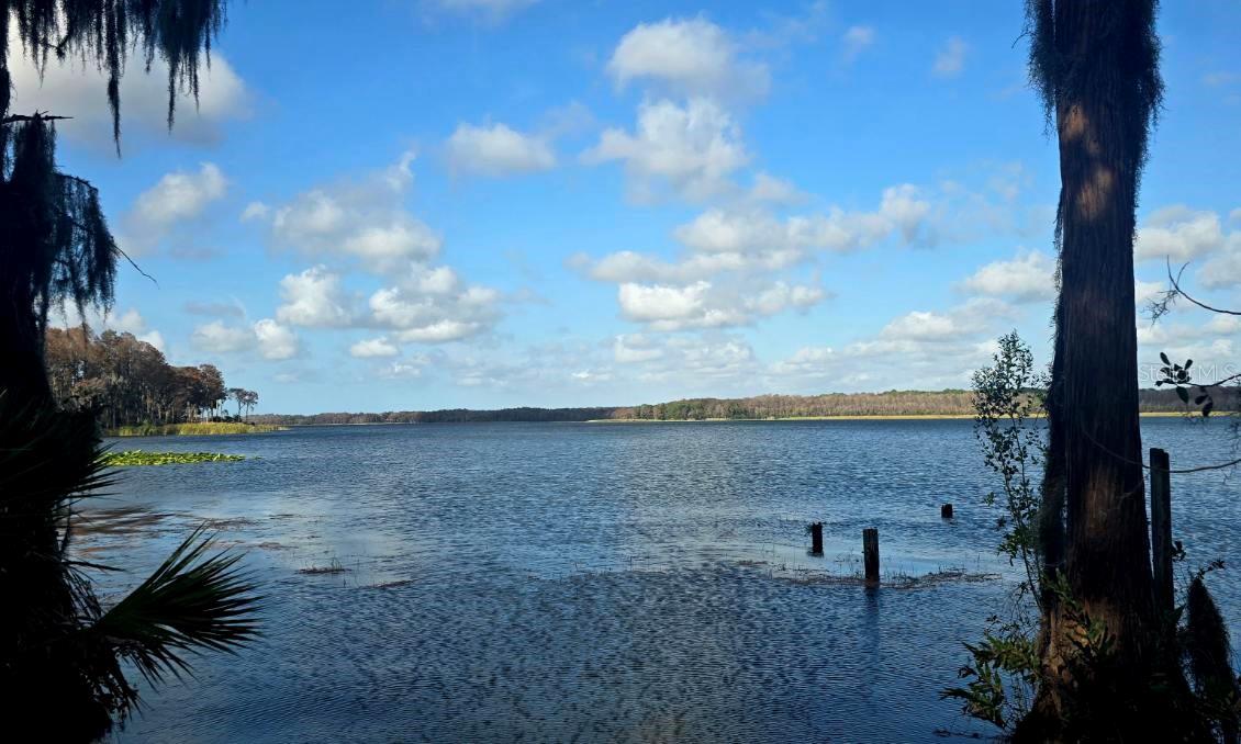 GREEN VIEW CONDO - Residential