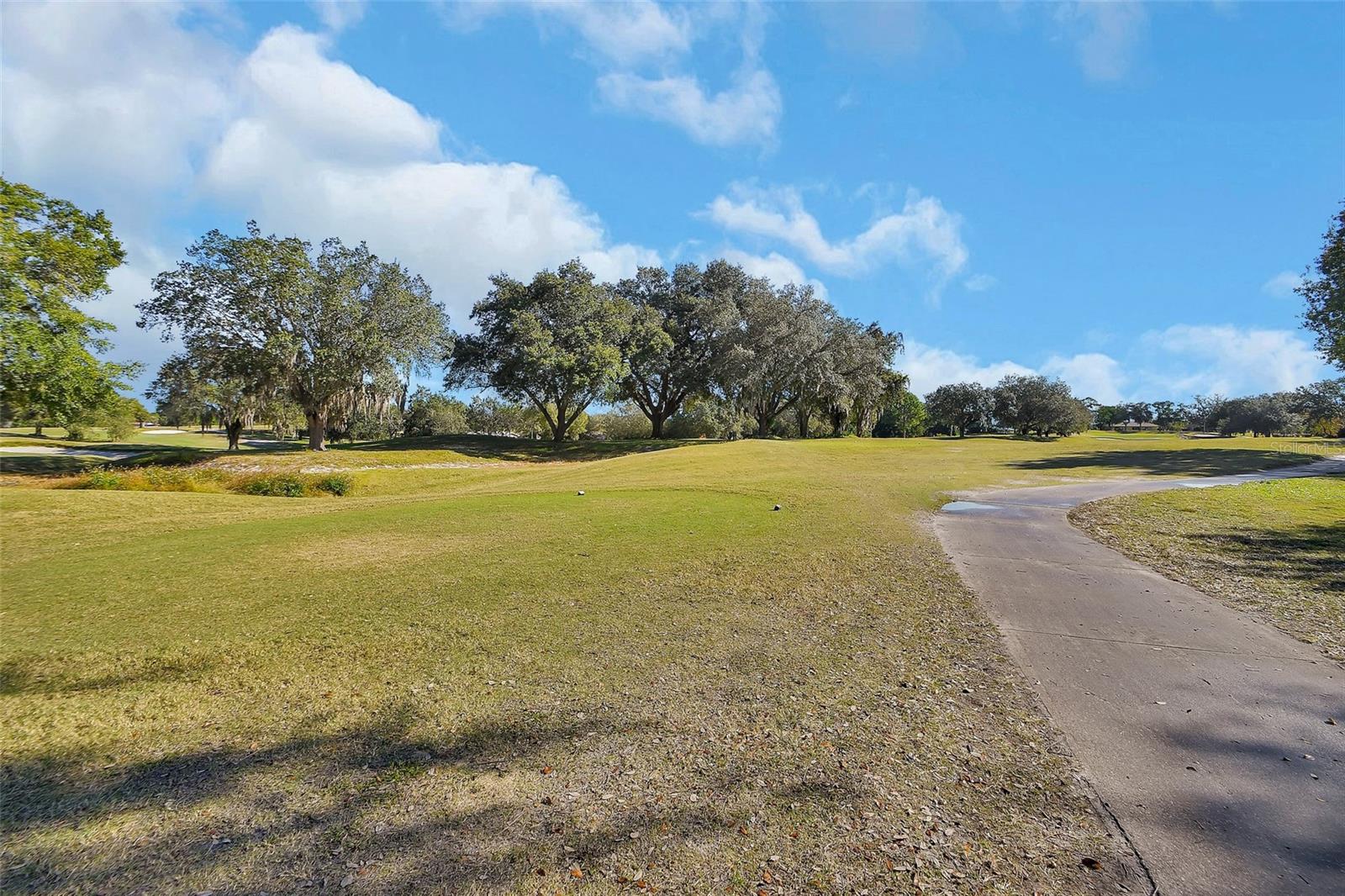 GOLF CLUB ESTATES CONDO - Residential