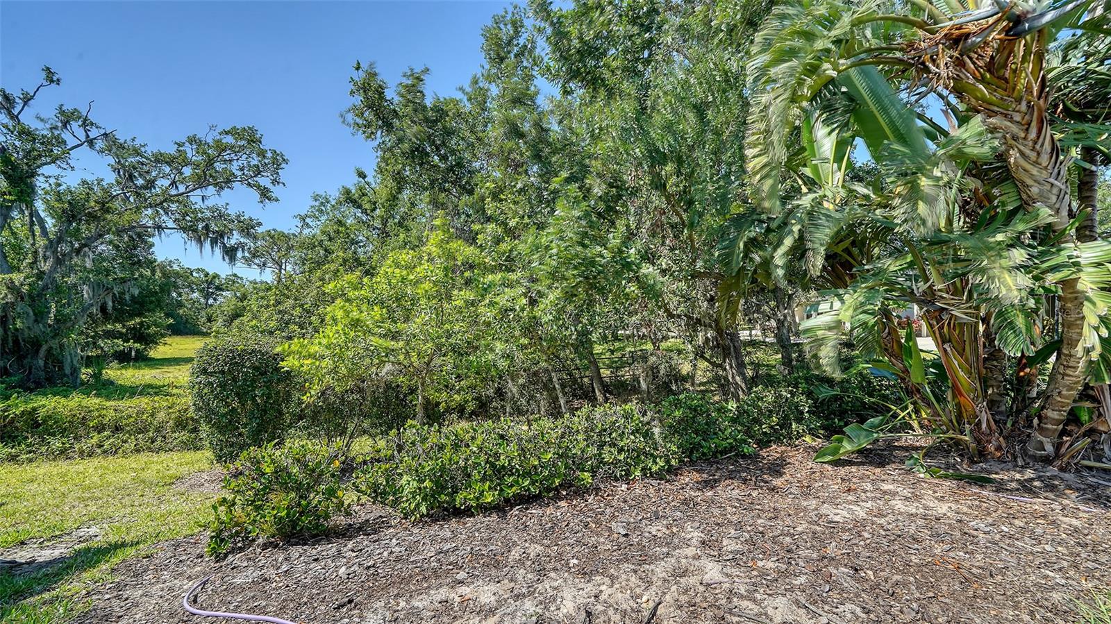 PALMER OAKS ESTATES - Residential