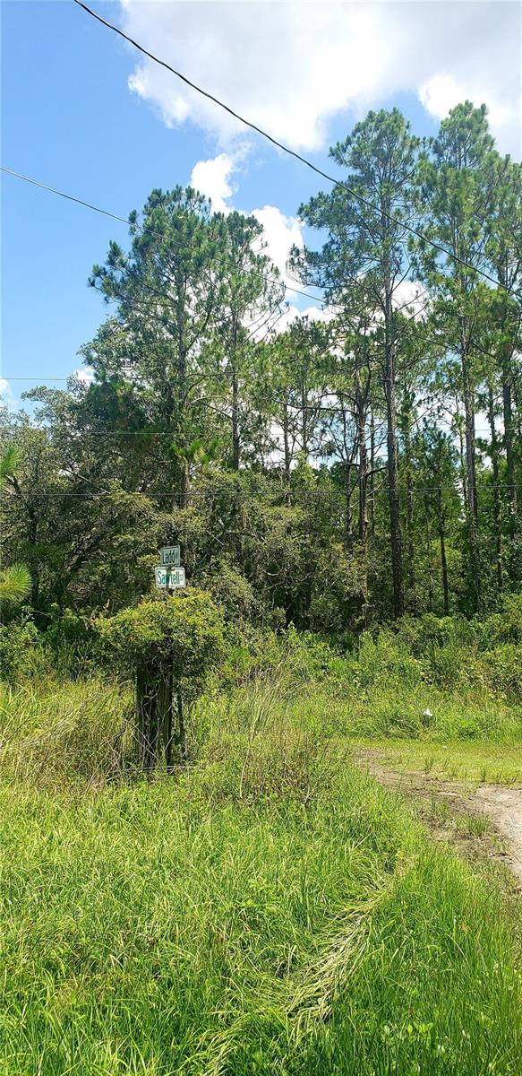 MOON LAKE ESTATES - Land