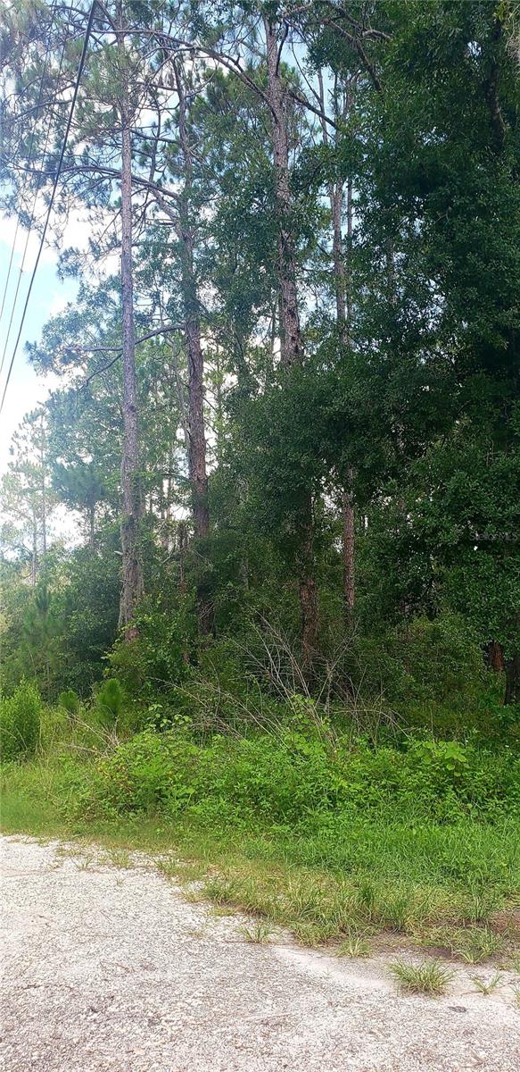 MOON LAKE ESTATES - Land